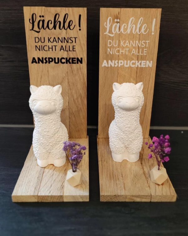 Alpaka "Lächle"